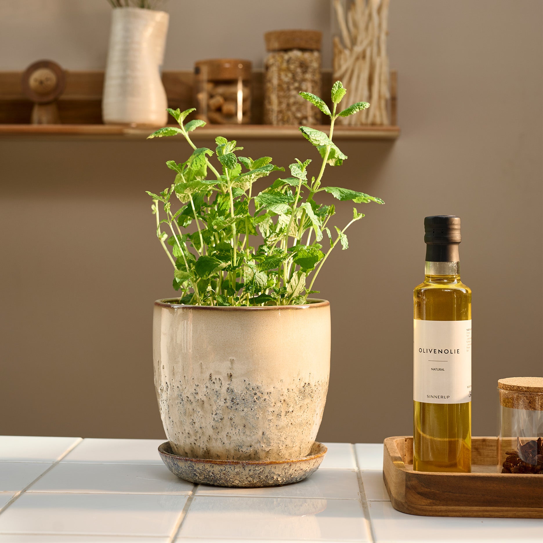 Pio II urtepotte Ø17 cm